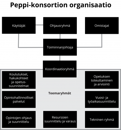 Peppi-konsortion organisaatiorakenne